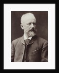 Portrait of the composer Pyotr Ilyich Tchaikovsky, 1887 by Anonymous