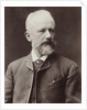 Portrait of the composer Pyotr Ilyich Tchaikovsky, 1887 by Anonymous