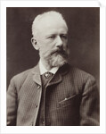 Portrait of the composer Pyotr Ilyich Tchaikovsky, 1887 by Anonymous