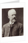 Portrait of the composer Pyotr Ilyich Tchaikovsky, 1887 by Anonymous
