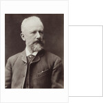 Portrait of the composer Pyotr Ilyich Tchaikovsky, 1887 by Anonymous