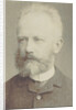Portrait of the composer Pyotr Ilyich Tchaikovsky, 1884 by Anonymous
