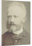 Portrait of the composer Pyotr Ilyich Tchaikovsky, 1884 by Anonymous