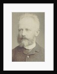 Portrait of the composer Pyotr Ilyich Tchaikovsky, 1884 by Anonymous