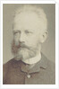 Portrait of the composer Pyotr Ilyich Tchaikovsky, 1884 by Anonymous