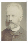 Portrait of the composer Pyotr Ilyich Tchaikovsky, 1884 by Anonymous