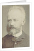 Portrait of the composer Pyotr Ilyich Tchaikovsky, 1884 by Anonymous