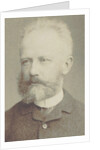 Portrait of the composer Pyotr Ilyich Tchaikovsky, 1884 by Anonymous