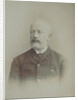 Portrait of the composer Pyotr Ilyich Tchaikovsky, End of 1880s by Anonymous