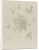 Small Worlds X, 1922 by Anonymous