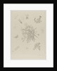 Small Worlds X, 1922 by Anonymous