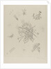 Small Worlds X, 1922 by Anonymous