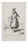 Colonel of the Streltsy regiment, 1764 by Anonymous