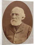 Portrait of the author Ivan Sergeyevich Turgenev, 1879 by Anonymous