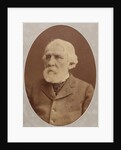 Portrait of the author Ivan Sergeyevich Turgenev, 1879 by Anonymous