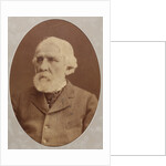 Portrait of the author Ivan Sergeyevich Turgenev, 1879 by Anonymous