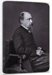 Portrait of the poet Nikolay Alexeyevich Nekrasov, Early 1870s by Anonymous
