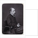 Portrait of the poet Nikolay Alexeyevich Nekrasov, Early 1870s by Anonymous