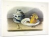 Common Mouse - Male, Female and Young, 1845 by John J. Audubon