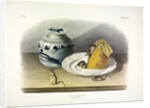 Common Mouse - Male, Female and Young, 1845 by John J. Audubon