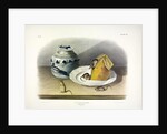 Common Mouse - Male, Female and Young, 1845 by John J. Audubon