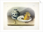 Common Mouse - Male, Female and Young, 1845 by John J. Audubon