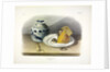 Common Mouse - Male, Female and Young, 1845 by John J. Audubon