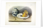 Common Mouse - Male, Female and Young, 1845 by John J. Audubon