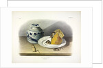 Common Mouse - Male, Female and Young, 1845 by John J. Audubon