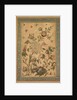 A floral fantasy of animals and birds, early 1600s by Unknown