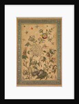 A floral fantasy of animals and birds, early 1600s by Unknown