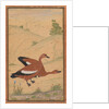A pair of Brahminy ducks, c. 1595; borders added probably 1800s by Unknown