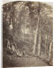 A Path Through a Wood, c. 1860 by Major Francis Gresley