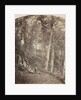 A Path Through a Wood, c. 1860 by Major Francis Gresley