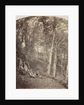 A Path Through a Wood, c. 1860 by Major Francis Gresley