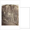 A Path Through a Wood, c. 1860 by Major Francis Gresley