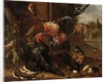 A Rooster and Turkey Fighting, c. 1680 by Melchior de Hondecoeter