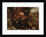 A Rooster and Turkey Fighting, c. 1680 by Melchior de Hondecoeter