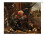 A Rooster and Turkey Fighting, c. 1680 by Melchior de Hondecoeter