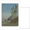 Albano, Italy, c. 1872 by George Inness