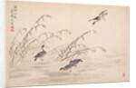 Album of Calligraphy and Paintings, 18th Century by Bian Shoumin