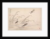 Album of Calligraphy and Paintings, 18th Century by Bian Shoumin