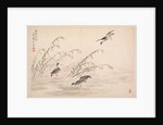 Album of Calligraphy and Paintings, 18th Century by Bian Shoumin