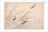 Album of Calligraphy and Paintings, 18th Century by Bian Shoumin