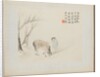 Album of Landscape Paintings Illustrating Old Poems: A Man and a Horse by a Stream, 1700s by Hua Yan