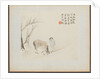 Album of Landscape Paintings Illustrating Old Poems: A Man and a Horse by a Stream, 1700s by Hua Yan