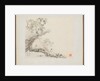 Album of Landscape Paintings Illustrating Old Poems: A Man Lies under a Rocky Overhang?, 1700s by Hua Yan