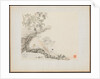 Album of Landscape Paintings Illustrating Old Poems: A Man Lies under a Rocky Overhang?, 1700s by Hua Yan