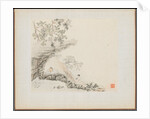 Album of Landscape Paintings Illustrating Old Poems: A Man Lies under a Rocky Overhang?, 1700s by Hua Yan
