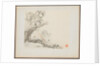 Album of Landscape Paintings Illustrating Old Poems: A Man Lies under a Rocky Overhang?, 1700s by Hua Yan